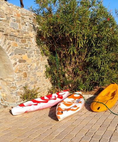 Beachfront | Majestic Villa gallery image 4