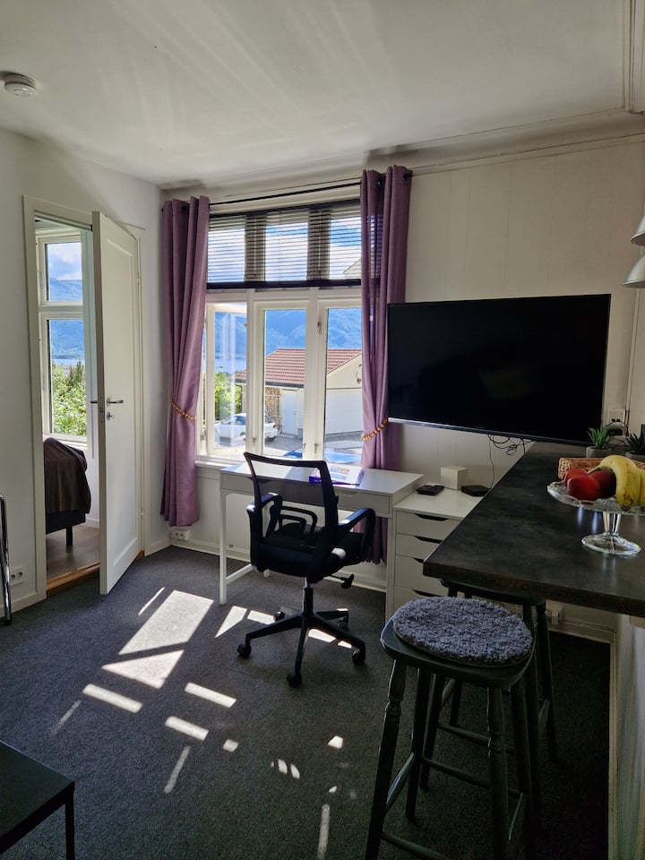 Great Studio In Beautiful Surroundings. Free P. - Alesund