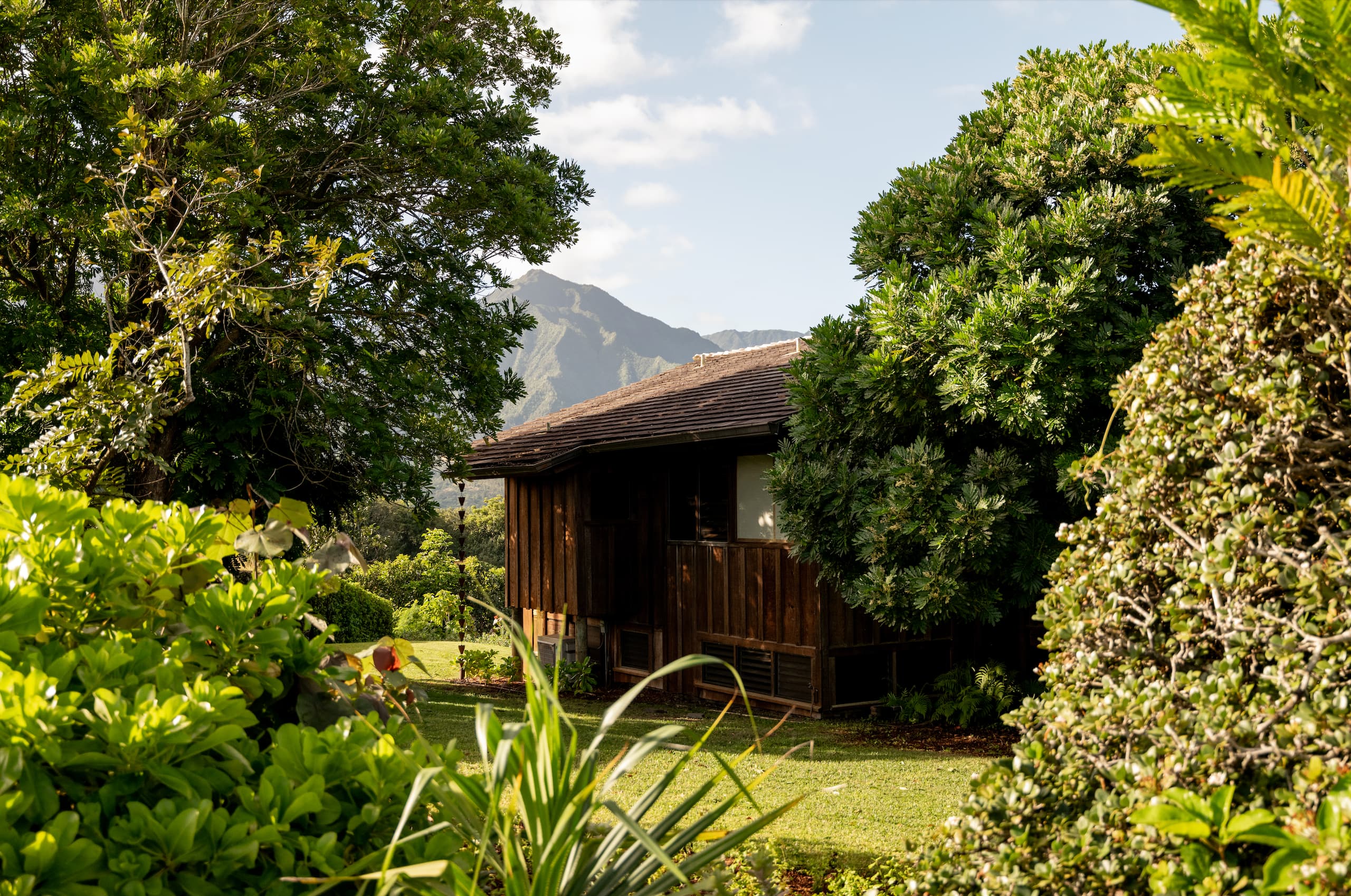 Home in Princeville · ★4.96 · 4 bedrooms · 5 beds · 2 baths - Image 67