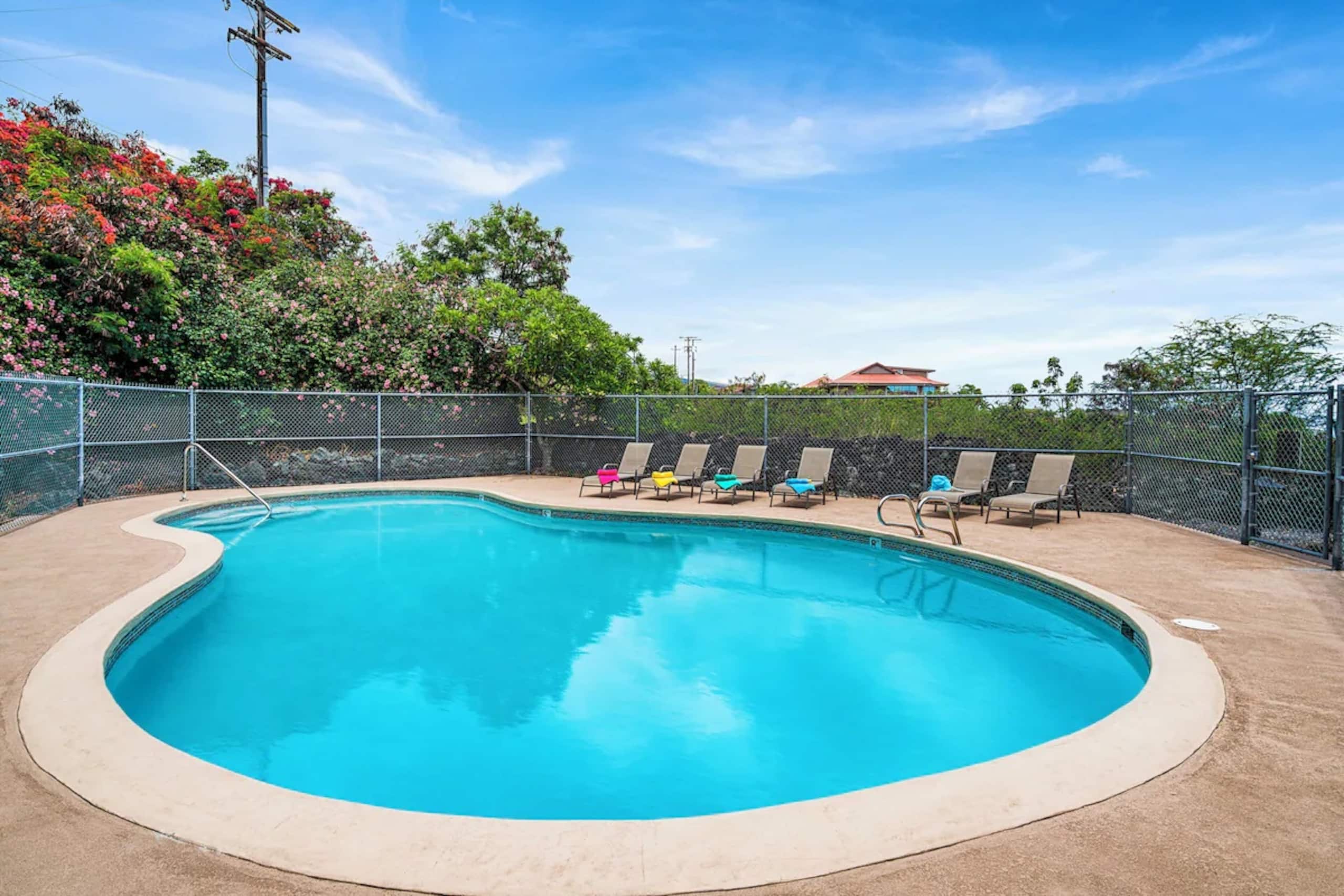 Condo in Kailua-Kona · ★4.9 · 1 bedroom · 1 bed · 1 bath - Image 35