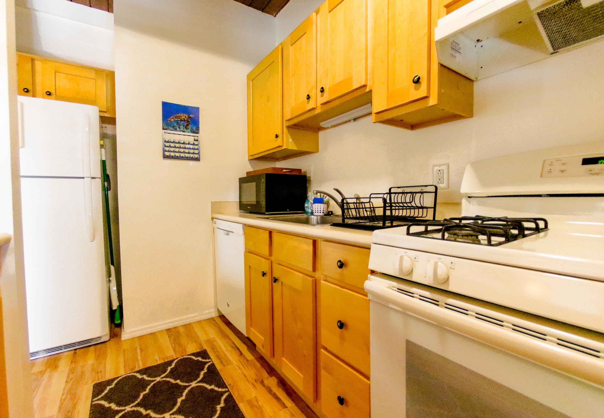Condo in Kailua-Kona · ★4.9 · 1 bedroom · 1 bed · 1 bath - Image 16