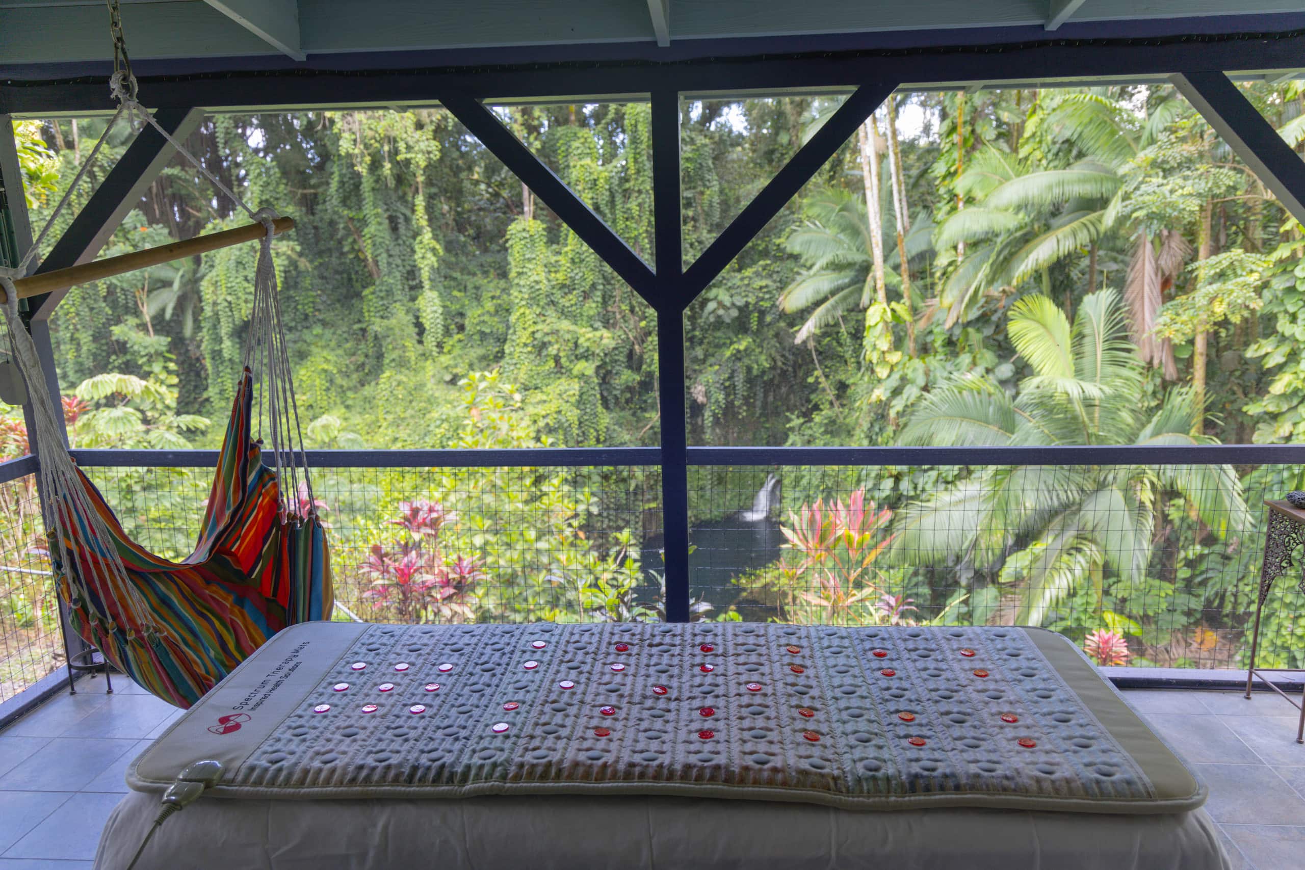 Home in Hilo · ★4.92 · 2 bedrooms · 2 beds · 2 baths - Image 20