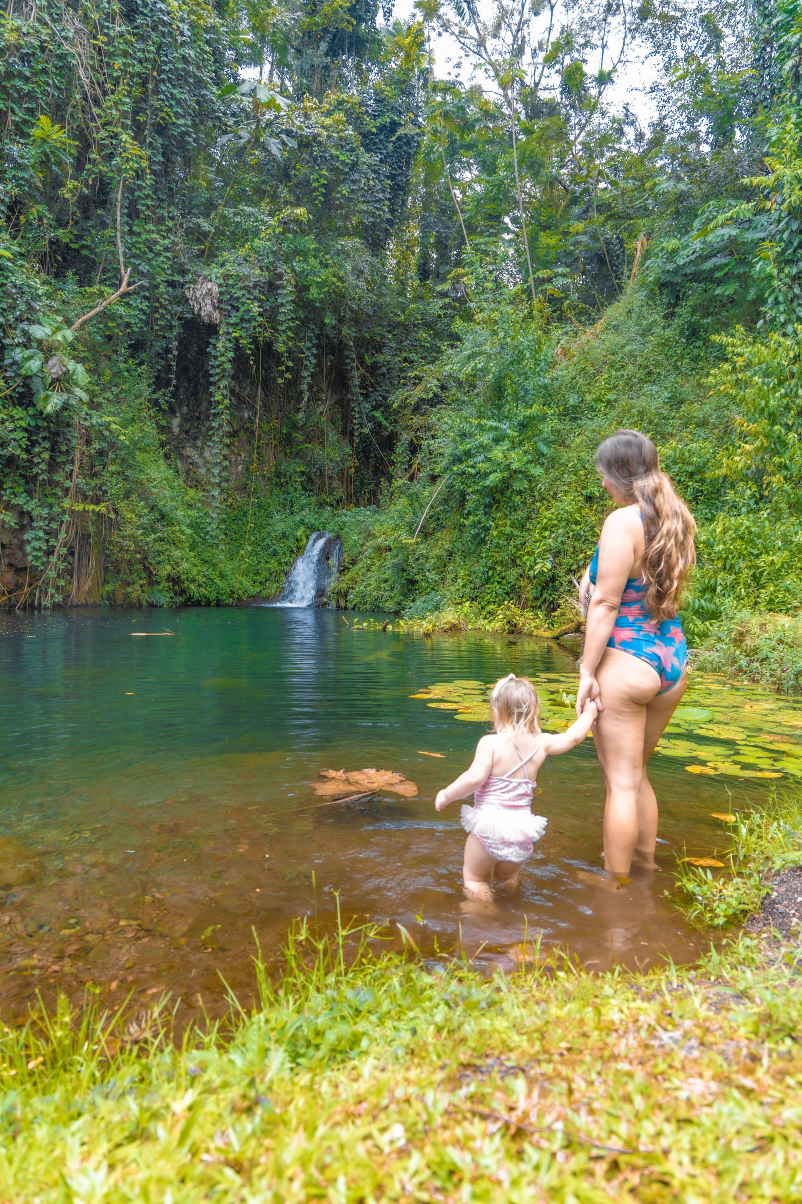 Home in Hilo · ★4.92 · 2 bedrooms · 2 beds · 2 baths - Image 18