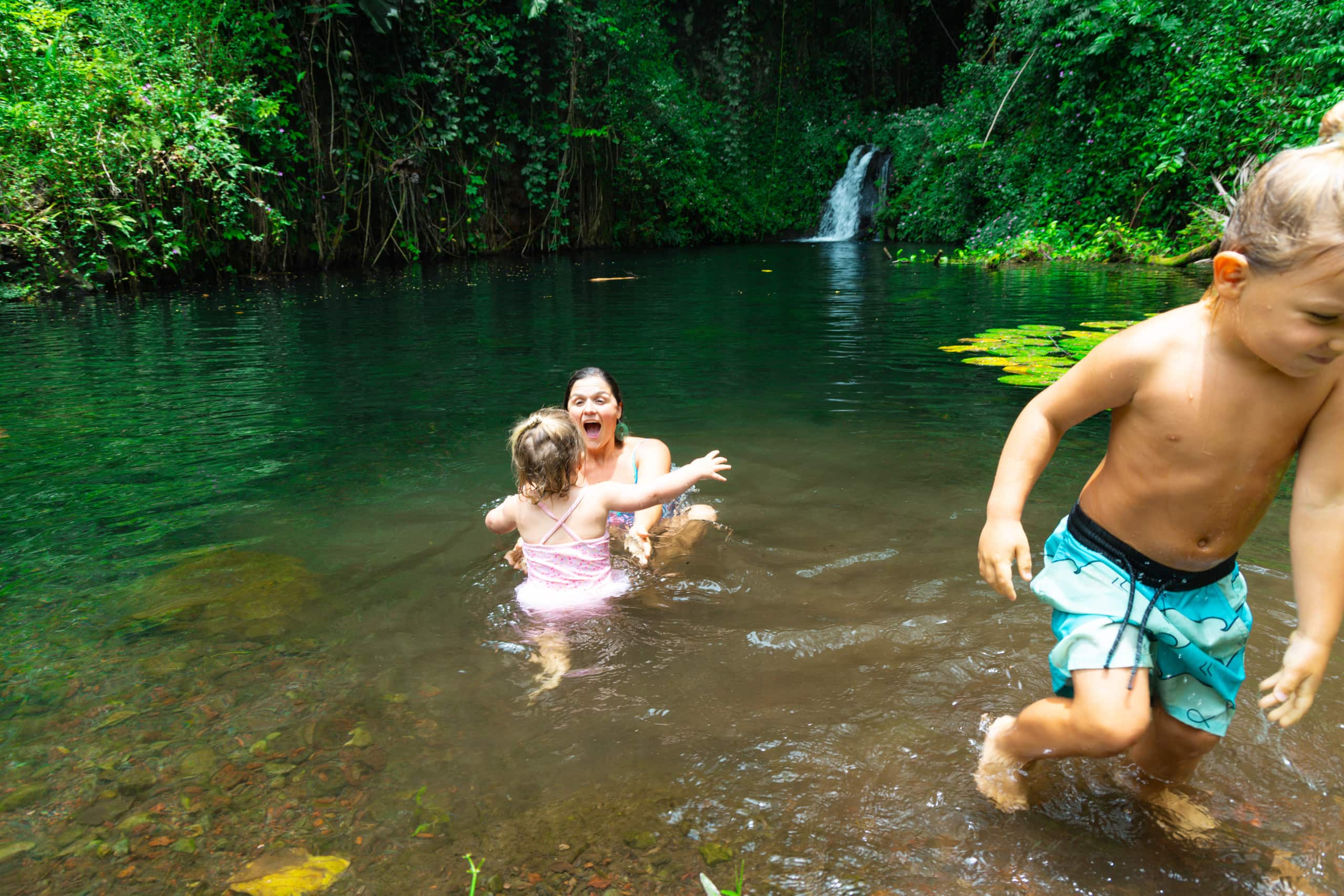 Home in Hilo · ★4.92 · 2 bedrooms · 2 beds · 2 baths - Image 19