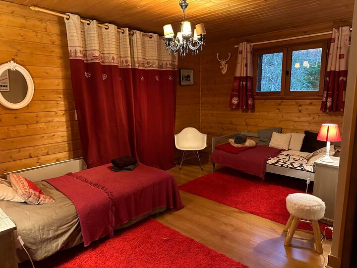 Una bonita habitación en la planta baja con dos camas individuales 