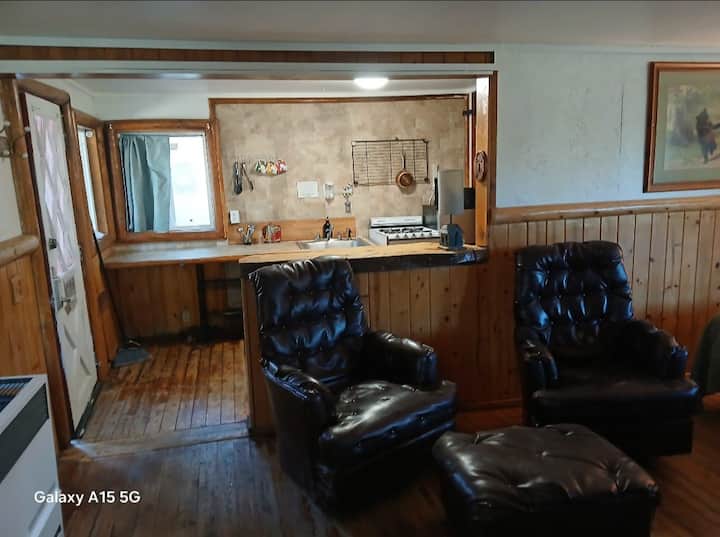 Rustic Cabin 21 - Fawnskin, CA