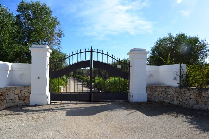 la corte dei trulli – trullo basilico gallery image 3