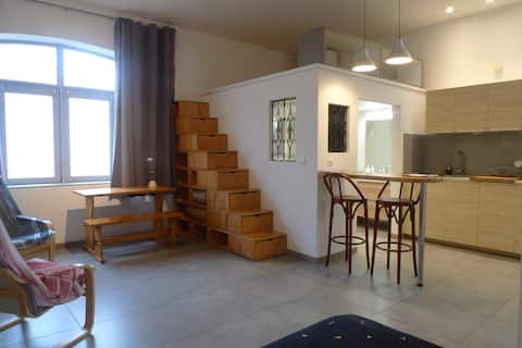 Successful Airbnb property: very quiet apartment, downtown Roanne in Roanne