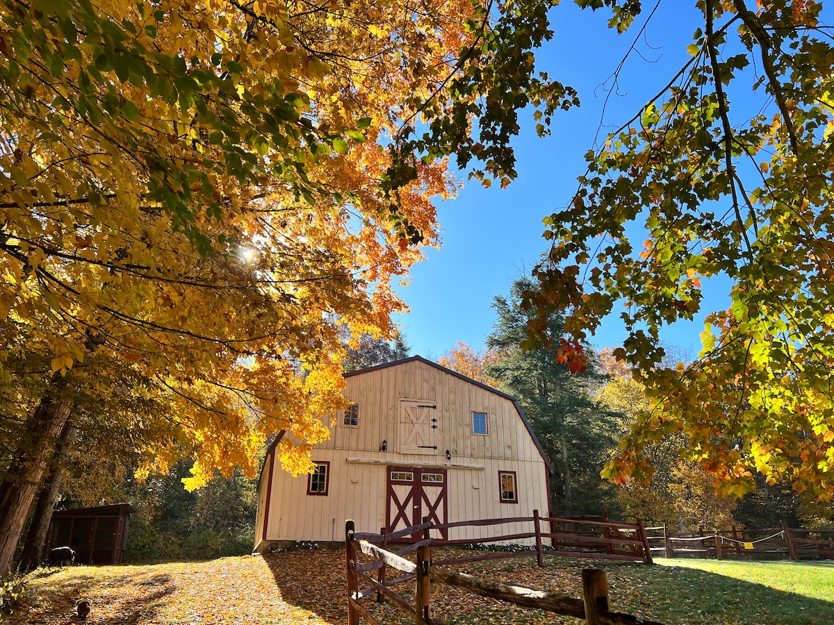 Twin Pines: campamentos/retiros en grupo, bodas en el patio trasero -  Campamentos en alquiler en Chaplin, Connecticut, Estados Unidos - Airbnb, image size:1200x900