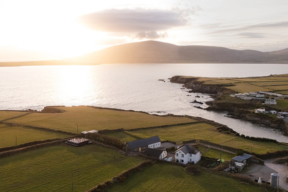 The image captures a serene coastal landscape at sunset, showcasing rolling green fields meeting the calm water of Ventry Bay. Nearby, a cluster of well-maintained buildings, including the white cottage, are visible along the shoreline, with distant hills rising in the background.