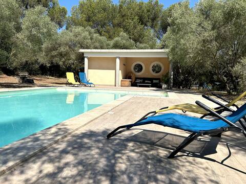 Villa in Provence surrounded by Olive Trees