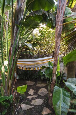 Lush Venice Beach Oasis Home -just steps to beach gallery image 3