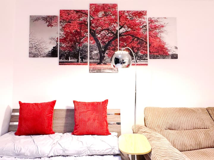 Четвртата спална соба + главна кујна + дневна соба + балкон во ЕДЕН простор („Црвена соба“), со двоен кревет во ЕУ (140*200)итроен италијански кауч. Од вас зависи дали станува збор за јавен простор за вашата група или приватен простор САМО за гости во оваа спална соба