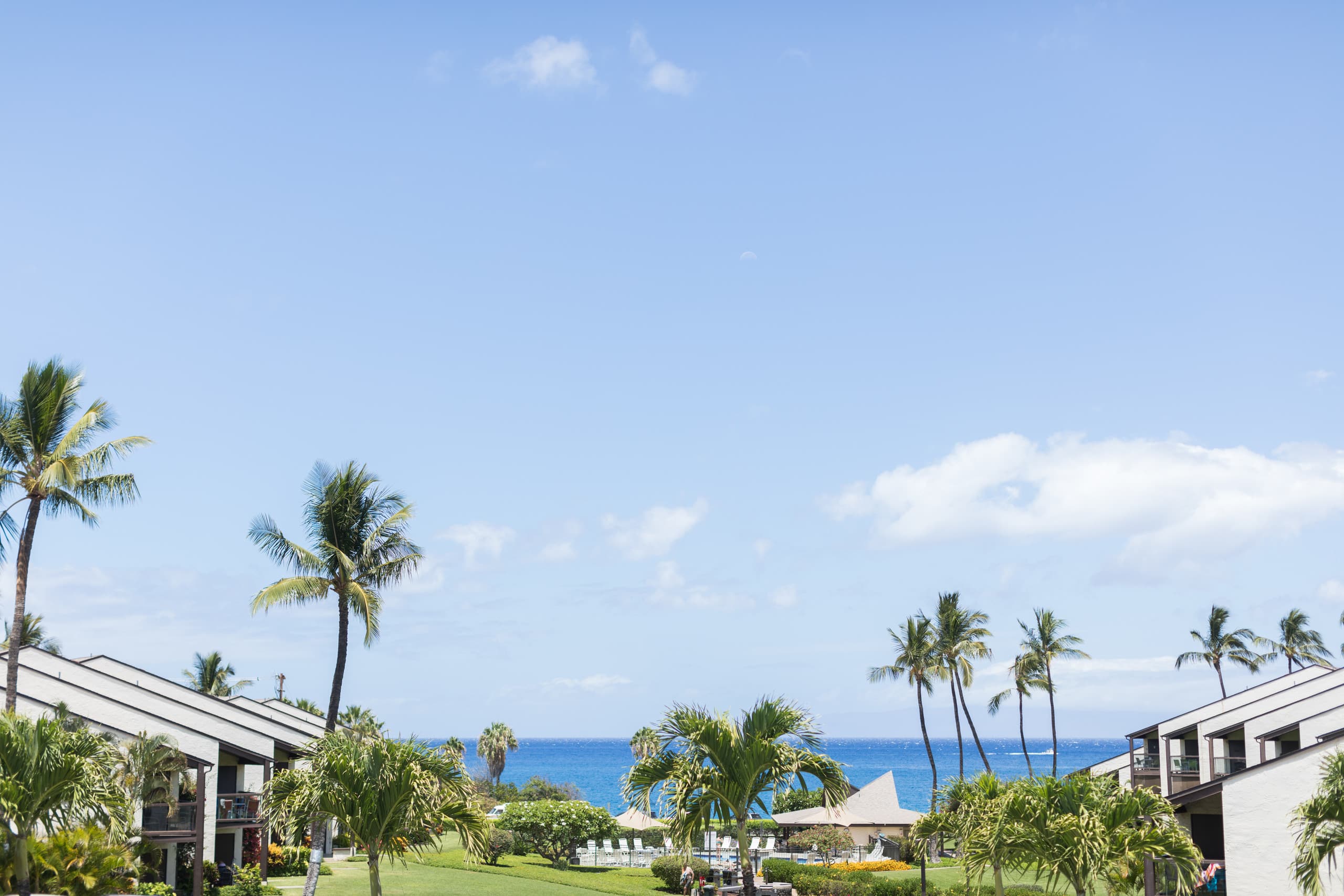 Condo in Kihei · ★4.93 · 1 bedroom · 1 bed · 1 private bath - Image 23