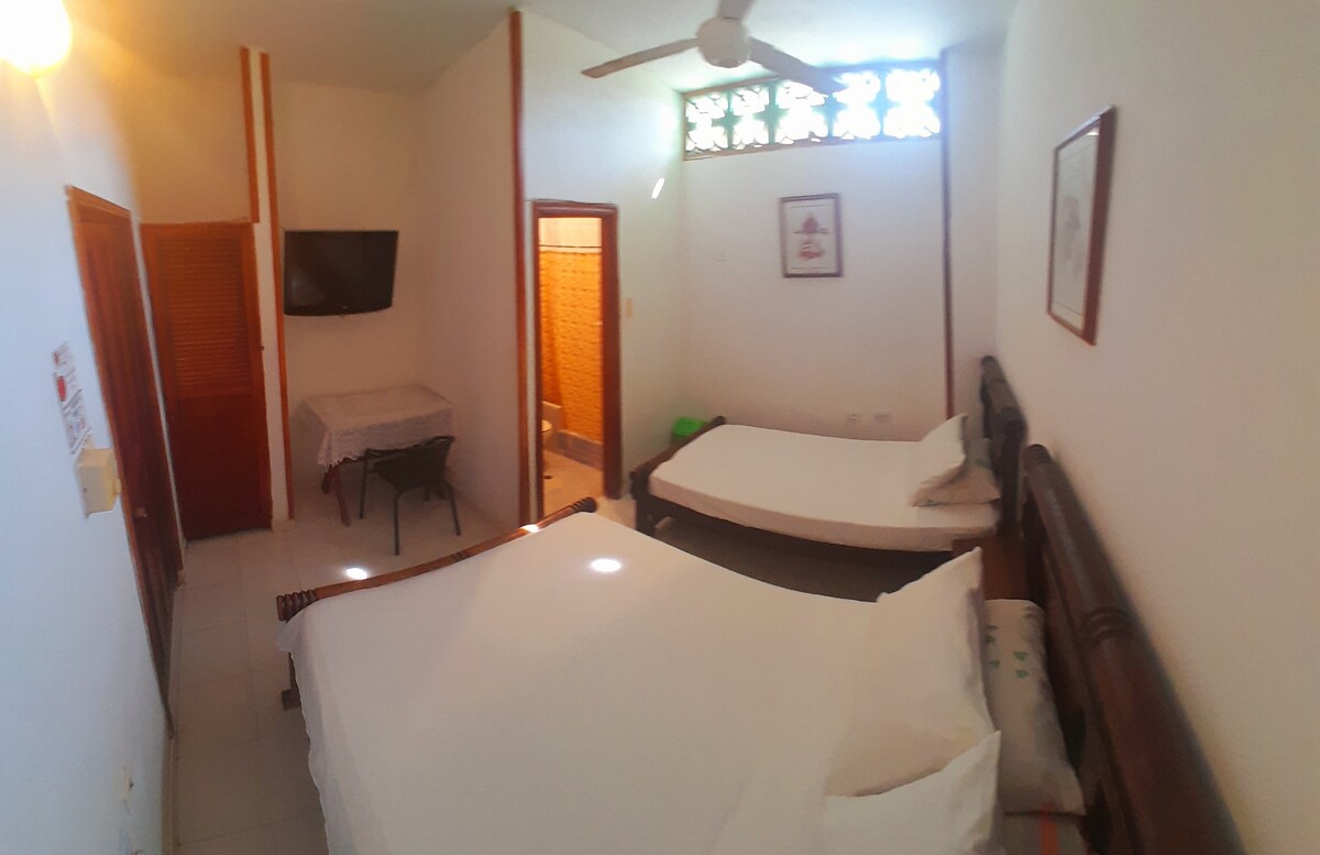 Კომფორტული ოთახი სამ ადამიანამდე ცალკე სააბაზანოთი, სამუშაო მაგიდით, საკაბელო ტელევიზიით, Wi-Fi ქსელით, ჭერის ვენტილატორით.