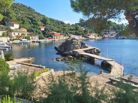 Apartment Frano 1/4+1 - MLJET island