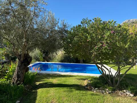 Cozy cottage in green oasis  with private pool