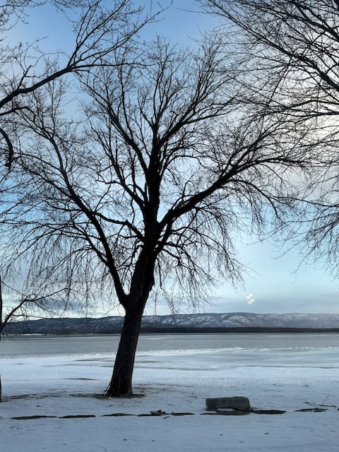 Successful Airbnb property: Luxurious Waterfront house on Ottawa River in West Carleton March