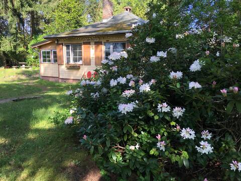 Nature, lakes, sauna & tranquility in Brandenburg. Lake District