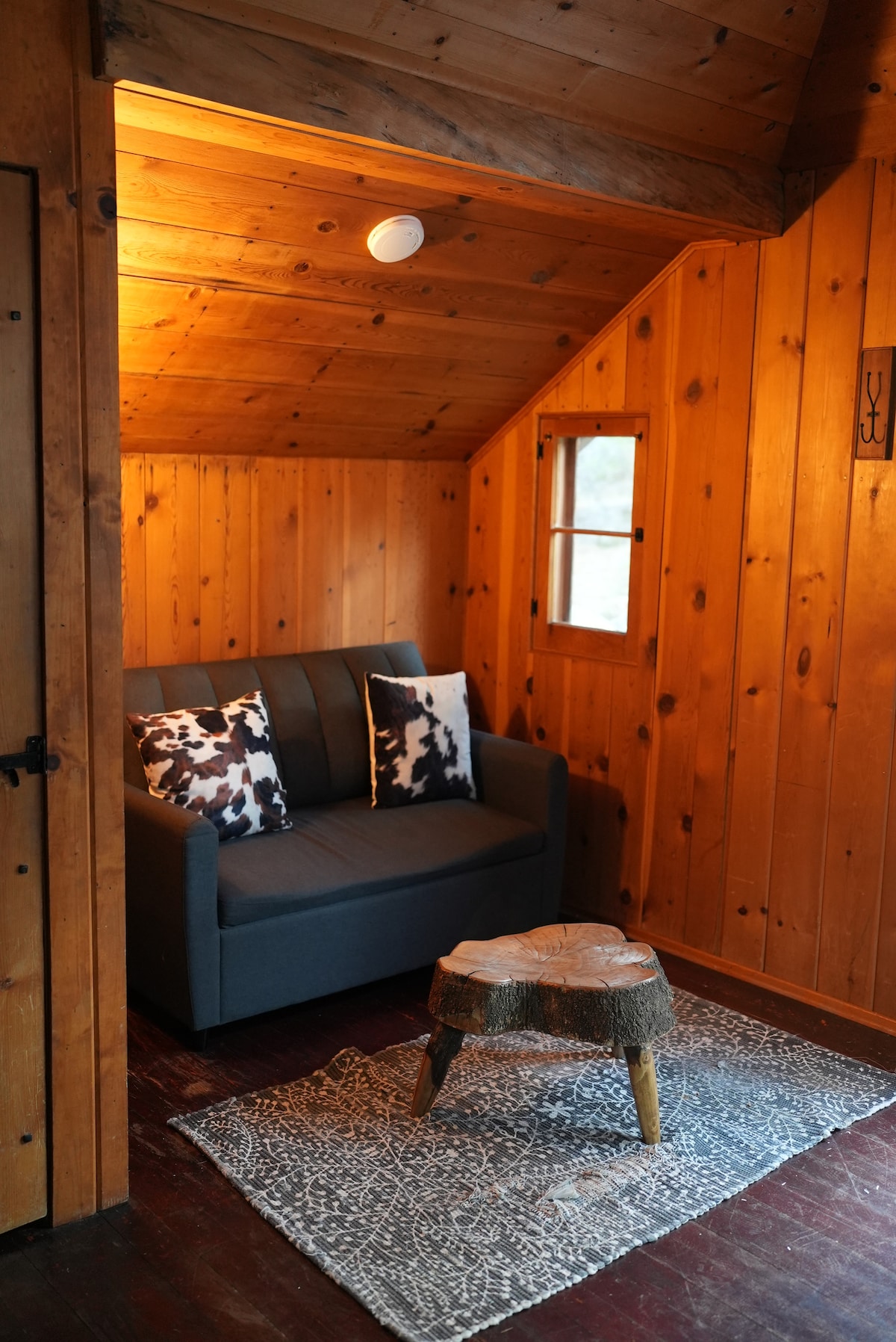 سرير أريكة يسحب إلى غرفة نوم واحدة صغيرة. مريحة لطفل صغير. 