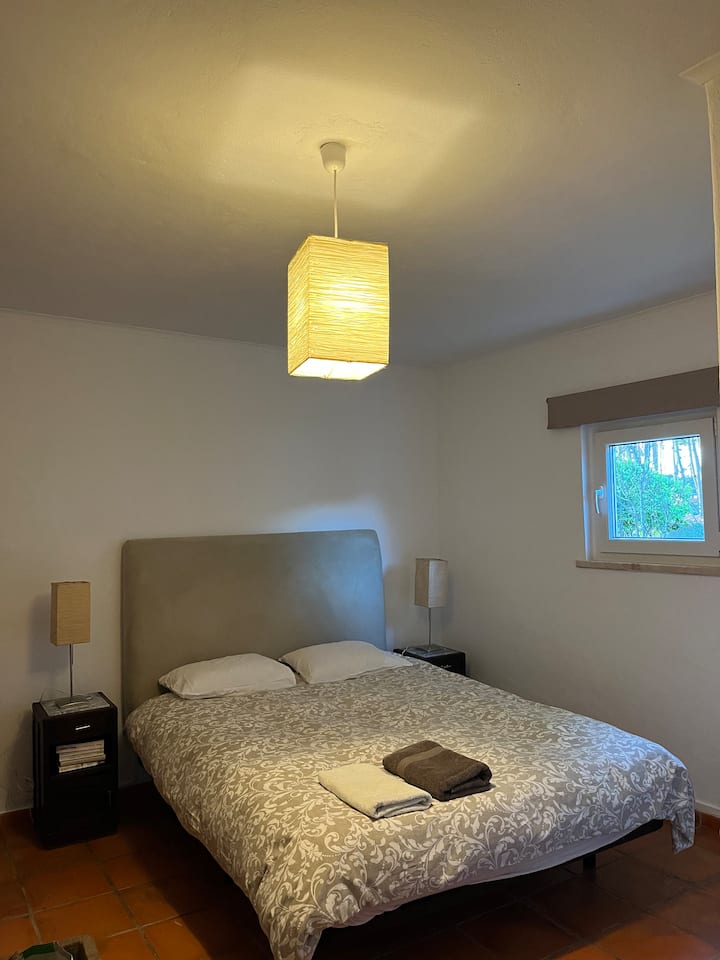 стая с камина