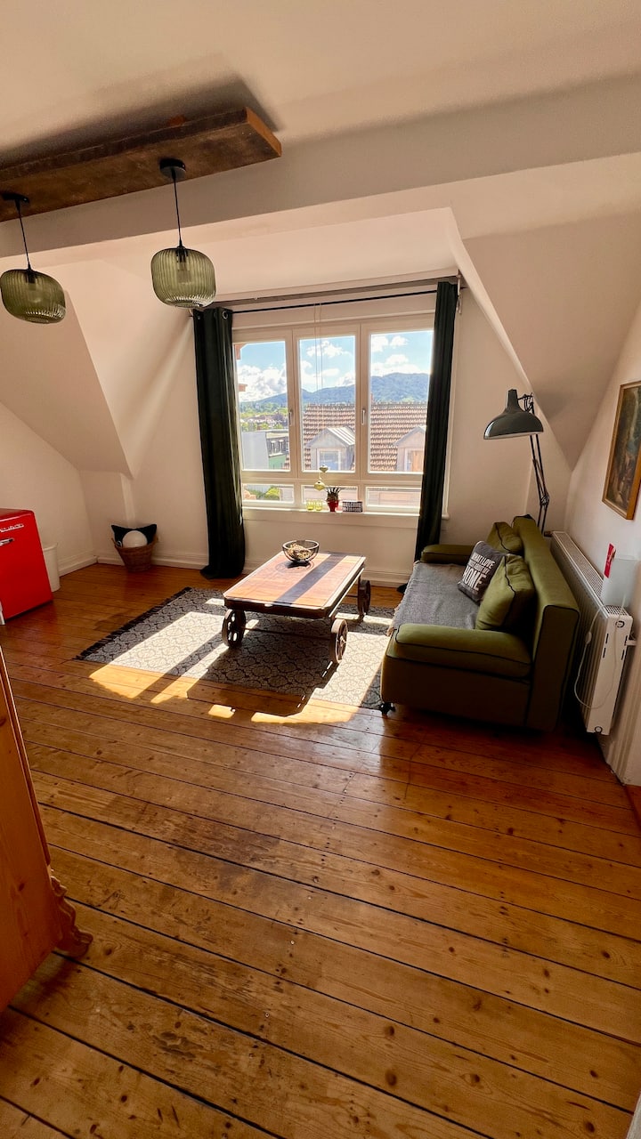 Heimat- Altbau Wohnung Im Herzen Von Offenburg - Offenburg