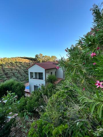 Villa Erato stay retreat Private Pool & Bio Garden