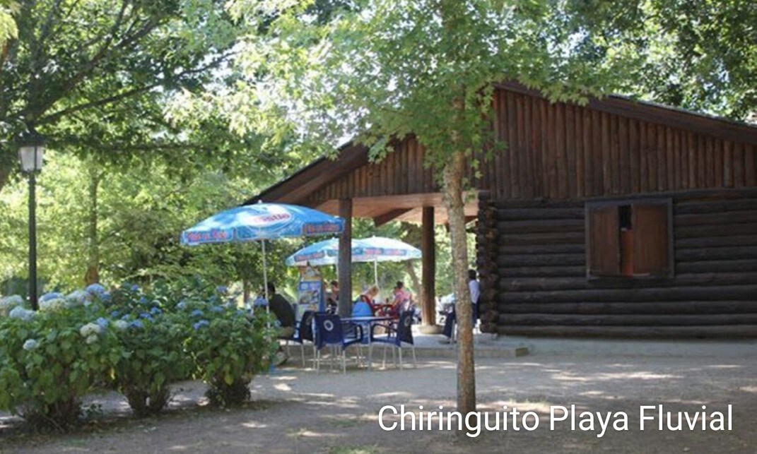 A rustic structure made of wood is partially shaded by trees, featuring outdoor seating arrangements under colorful umbrellas. Several tables and chairs are visible, creating a casual environment for guests to relax and enjoy the surroundings.