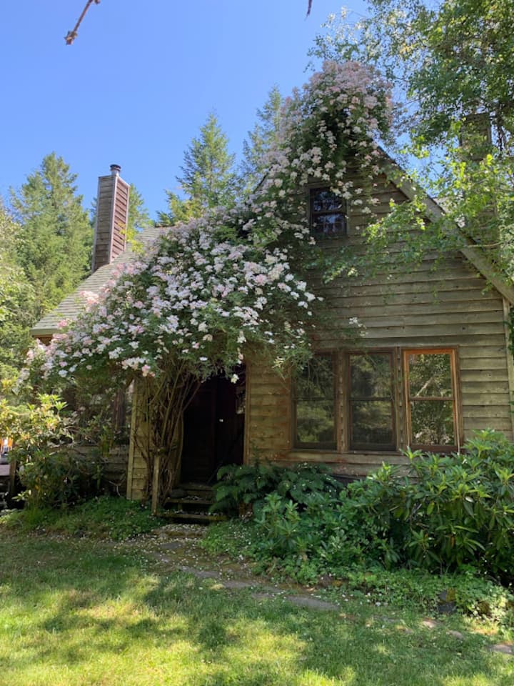 Rent a Private Park Houses for Rent in Willits, California, United