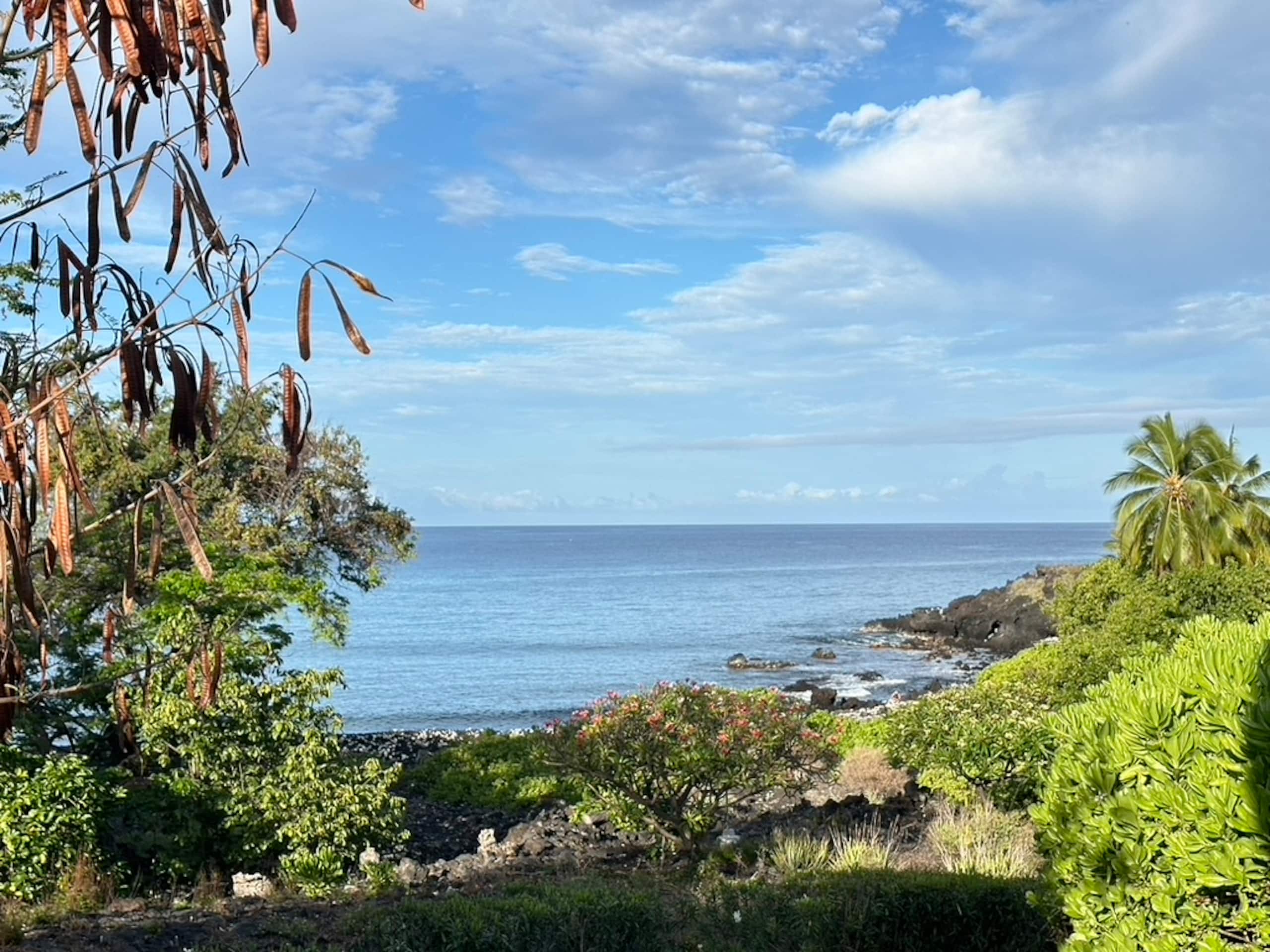 Home in Kailua-Kona · ★4.84 · 4 bedrooms · 3 beds · 2.5 baths - Image 27