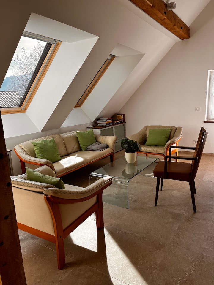 Elegant Penthouse With Garden Near Salzburg - Hallein