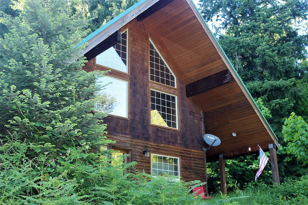 A chalet-style cabin features a distinctive triangular roof and large windows, allowing natural light to enter. The exterior is adorned with wooden siding and surrounded by lush greenery, including ferns and trees. An American flag is displayed on a nearby post.