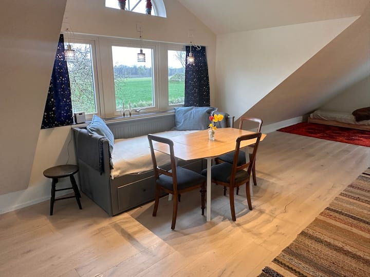 Arriba invita a los juegos y la socialización