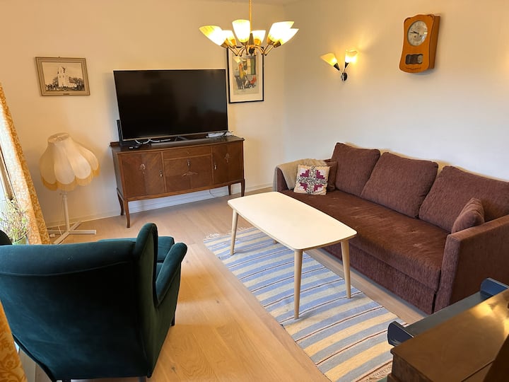 Sala de TV con cómodo sillón, sofá cama y TV grande