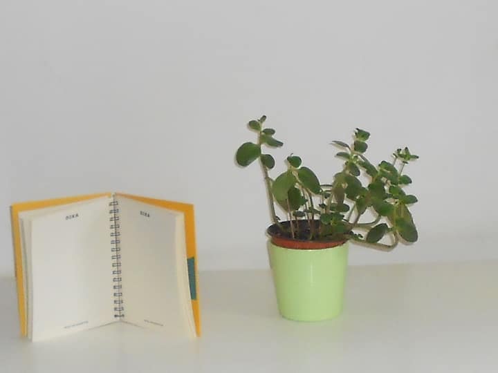 Miesto na štúdium alebo prípravu s pokojom na duši.

Tiché miesto na štúdium.