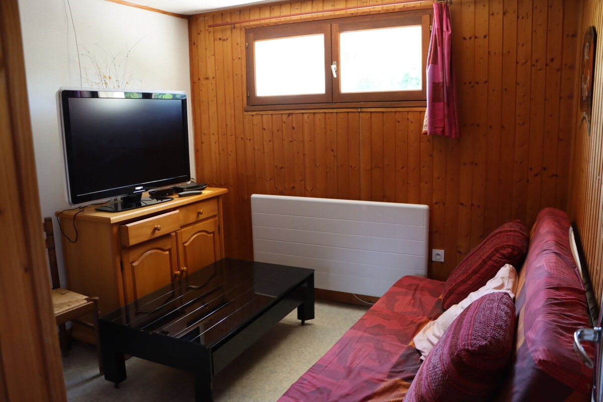 A compact living area is characterized by wooden paneling and warmed by natural light from windows. A television is placed on a dark cabinet, while a black coffee table is positioned at the center. A red sofa bed complements the space.