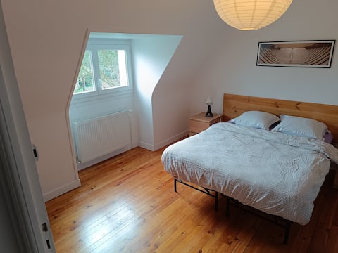 House + parking, downtown at the best price!