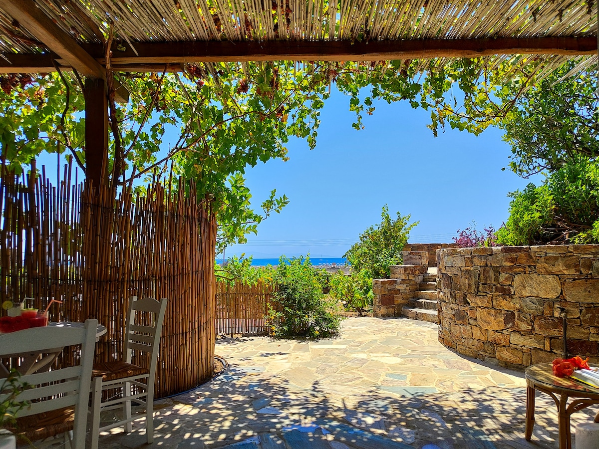 A private patio is framed by lush greenery and bamboo fencing, offering an unobstructed view of the sea. Stone paths and seating arrangements encourage relaxation, while vibrant plants add a touch of natural beauty to the serene outdoor space.