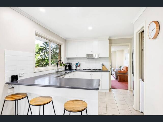 Summer Dayz on Derek gallery image 4