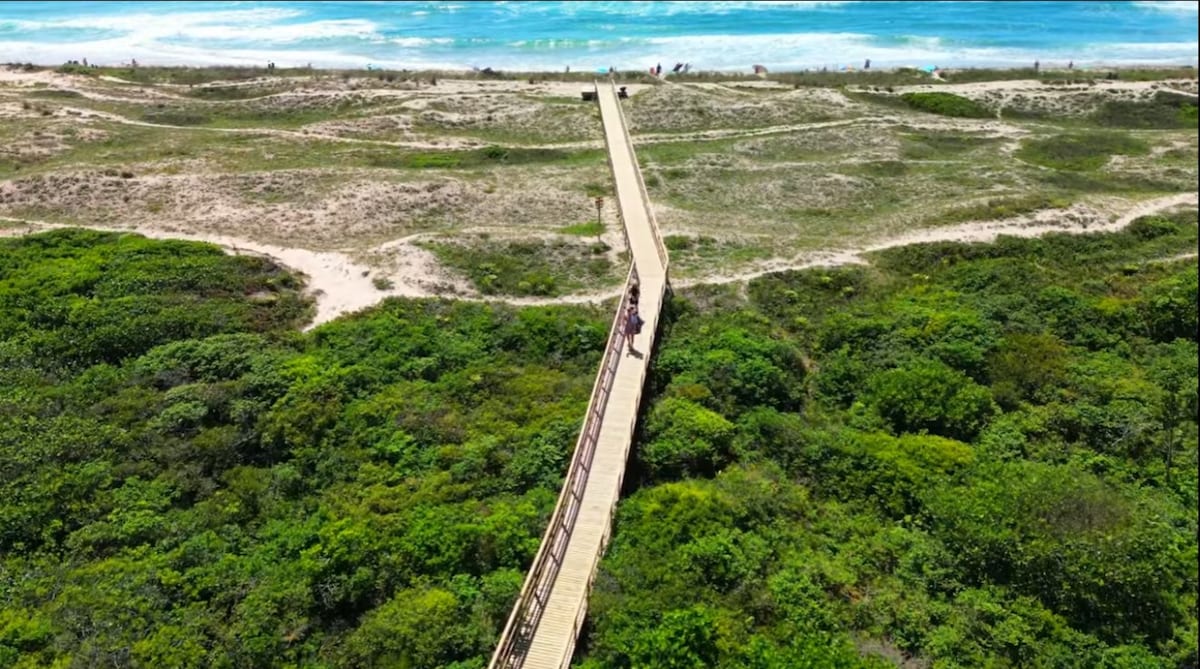 A wooden boardwalk stretches through lush greenery, leading to the sandy expanse of Praia do Campeche. The vibrant blue ocean can be seen in the background, with gentle waves lapping against the shore. Sunbathers relax along the beach, enjoying a sunny day.