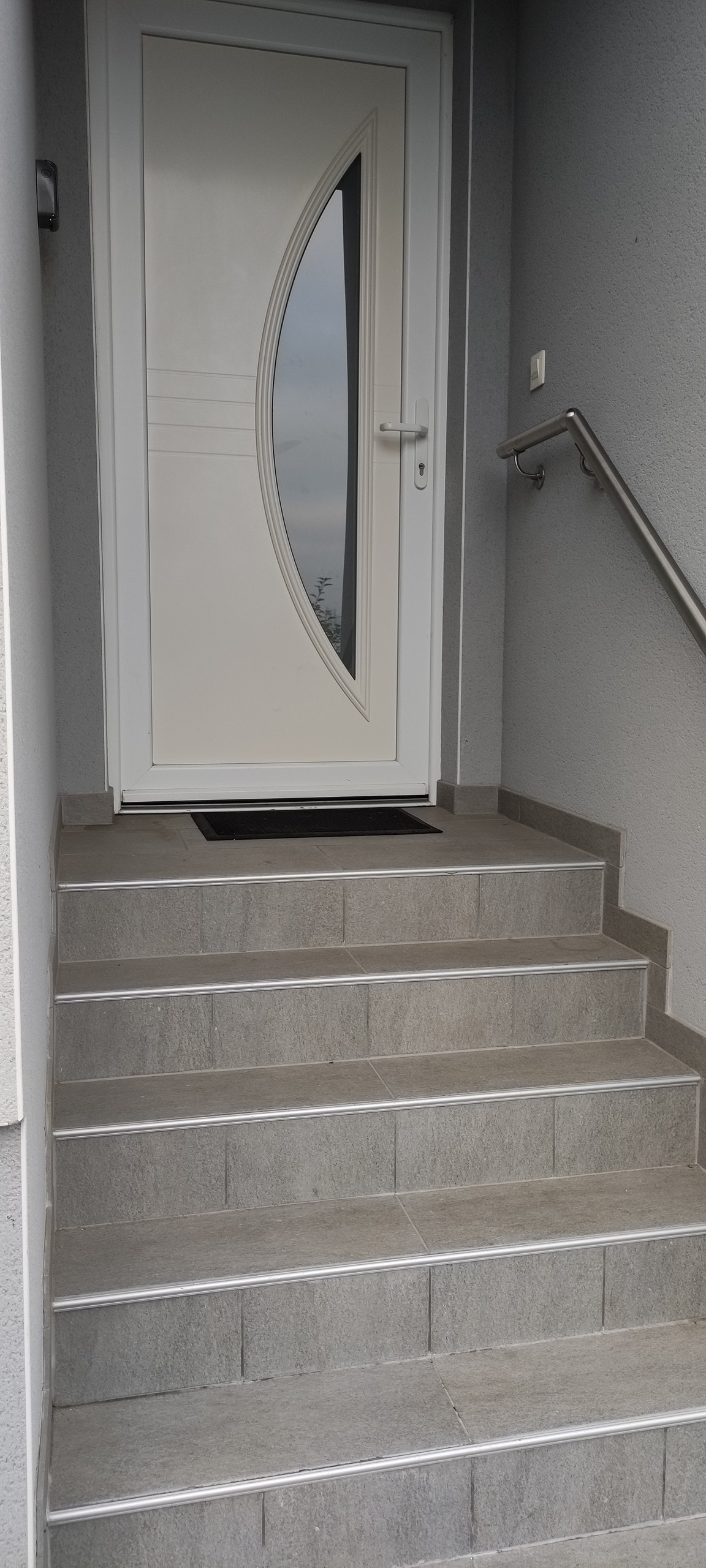 The entrance features a sleek, modern door with a curved glass panel, flanked by a set of polished grey stone steps. A handrail runs alongside the steps, ensuring safe access to the entrance.