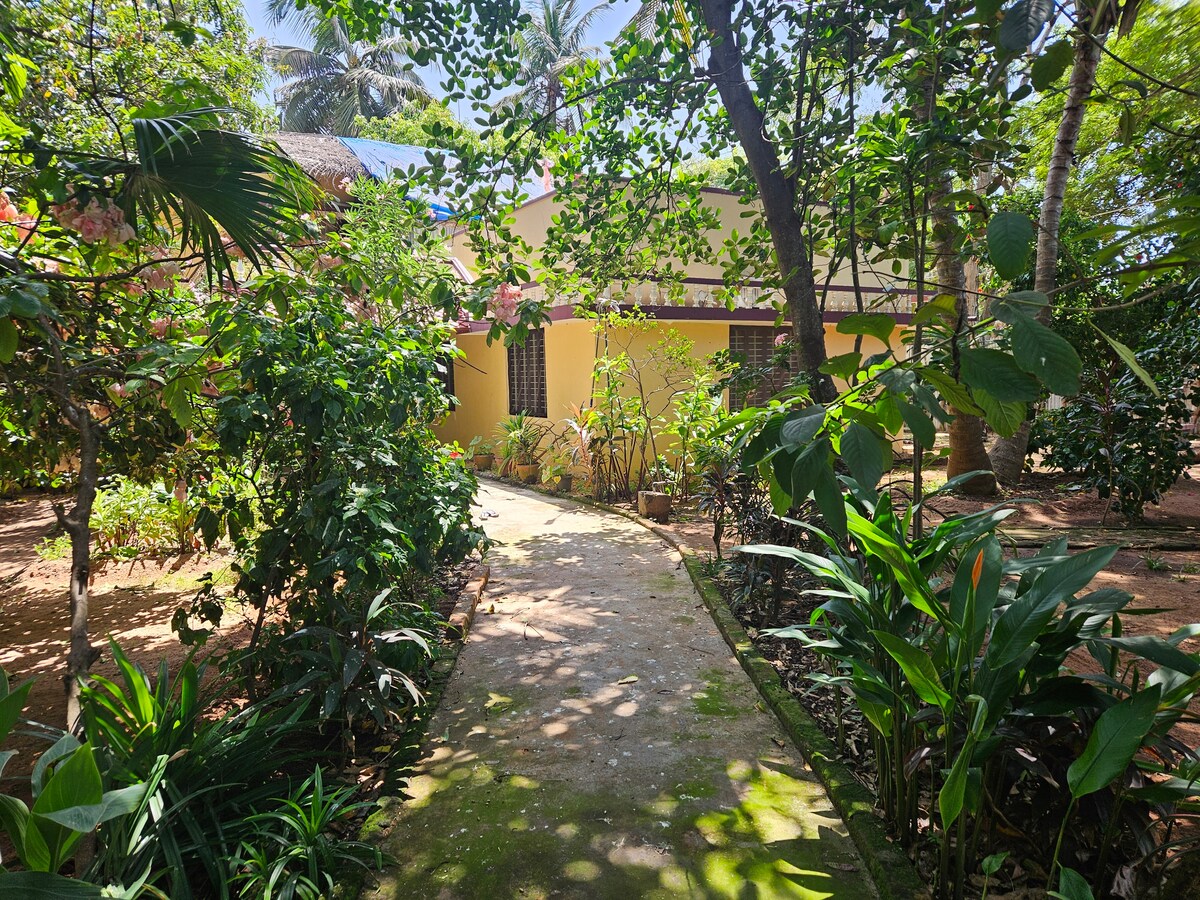 A serene pathway meanders through lush greenery, leading towards the yellow farmhouse. Surrounded by diverse plants and trees, the area reflects a peaceful, shaded atmosphere, inviting guests to explore the garden's natural beauty.