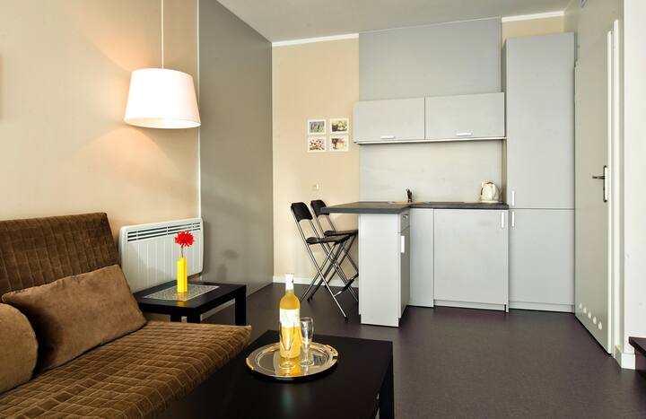 La parte inferior del apartamento con una cocina pequeña y un sofá cama. 