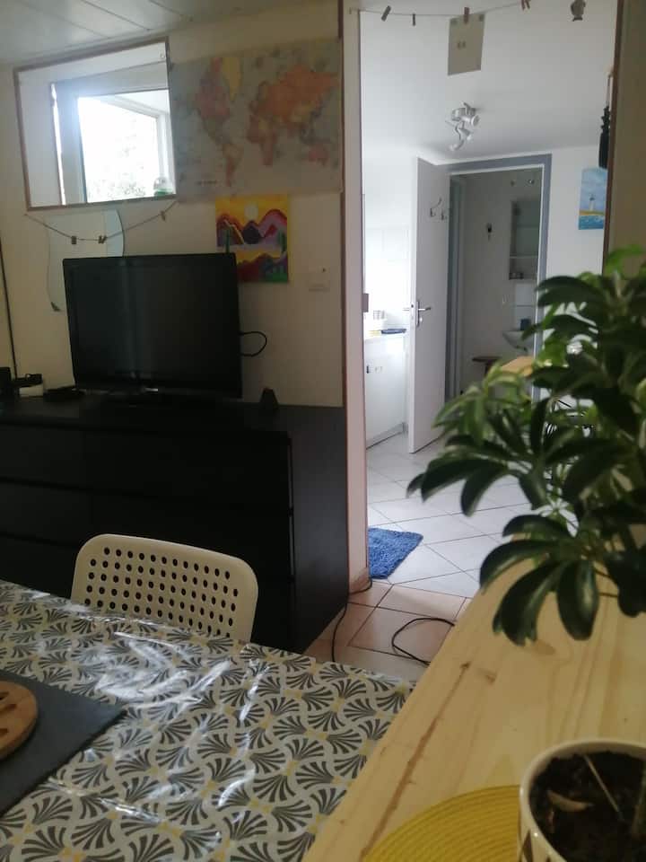 منطقة المعيشة