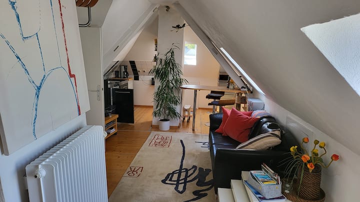 Generous Attic Apartment In Villa No.5 - Konstanz