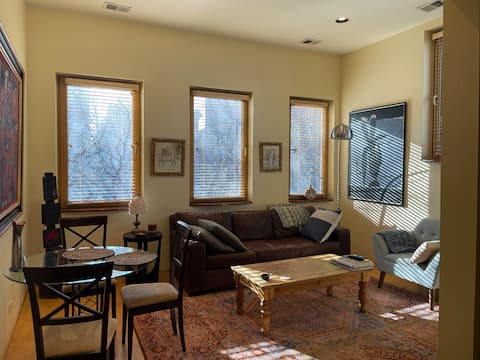 Fully Furnished Apartment Wicker Park Free Parking