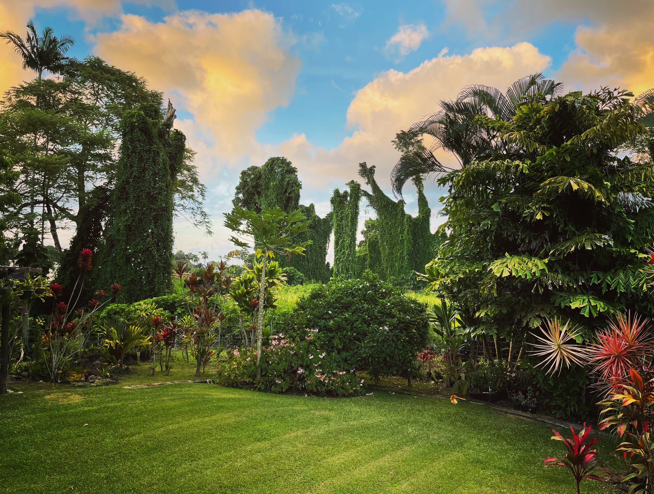 Home in Hilo · ★4.93 · 3 bedrooms · 3 beds · 2 baths - Image 12