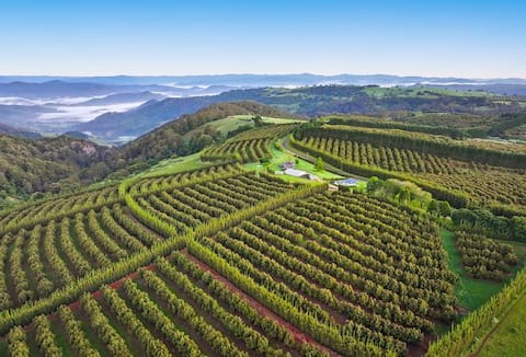Hilltop Farm Stay - The Ultimate Relax