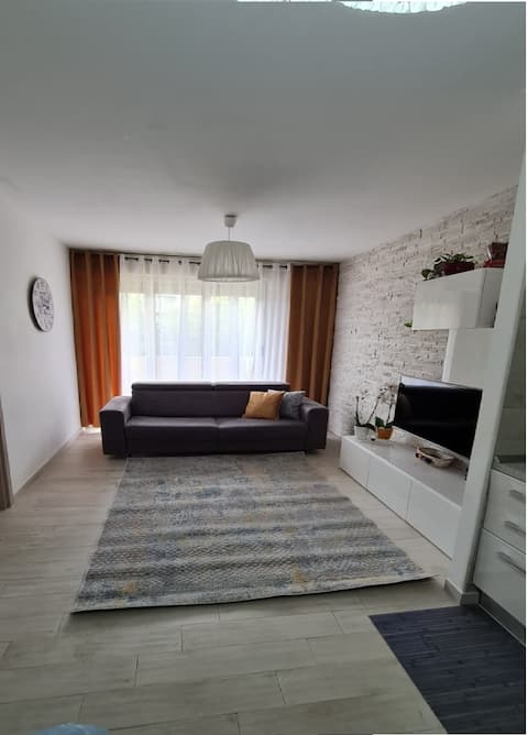 MC Malpensa Airport Home