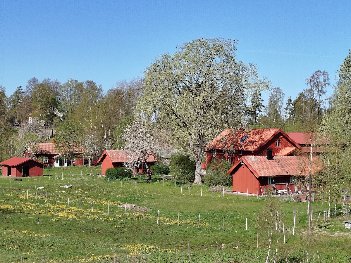 A collection of red buildings is nestled in a green landscape, with blossoming trees and fields adorned with yellow flowers. The clear blue sky overhead contributes to the serene rural setting.